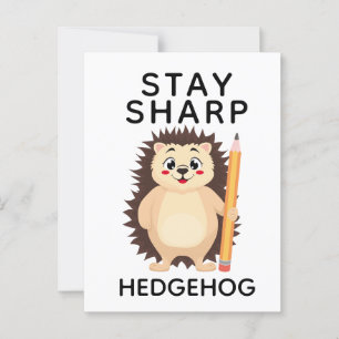 Back to School Stay sharp hedgehog Minimalistic Postcard