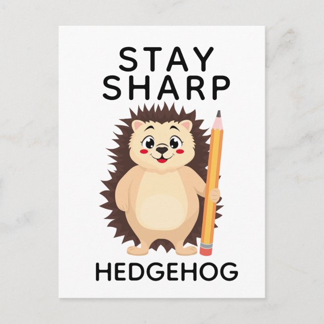 Back to School Stay sharp hedgehog Minimalistic  Postcard (Front)