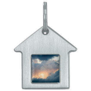 back to the early show pet tag