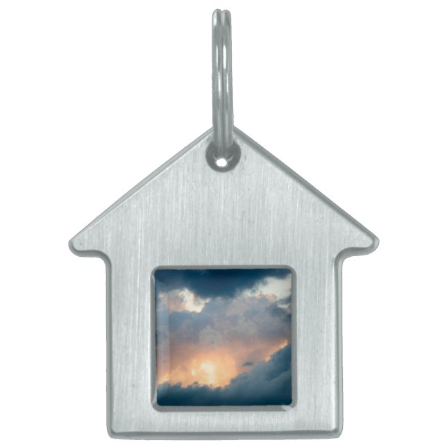 back to the early show pet tag (Front)