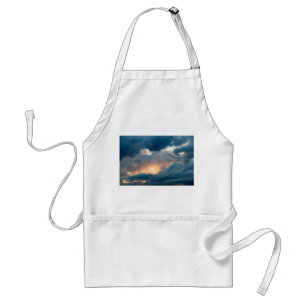 back to the early show standard apron