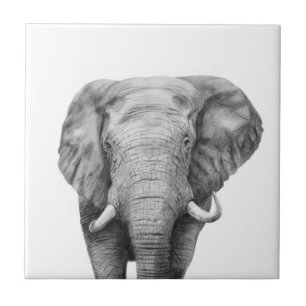 Back Up Plan IV Ceramic Tile