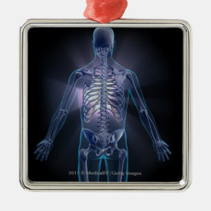 Back view of a human skeleton metal tree decoration