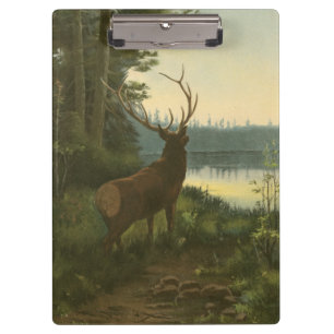 Back view of Elk Looking over a Lake Clipboard