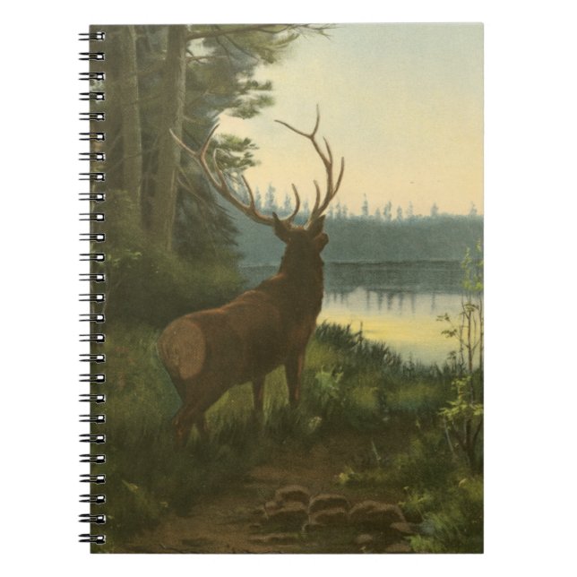 Back view of Elk Looking over a Lake Notebook (Front)