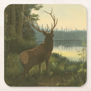 Back view of Elk Looking over a Lake Square Paper Coaster