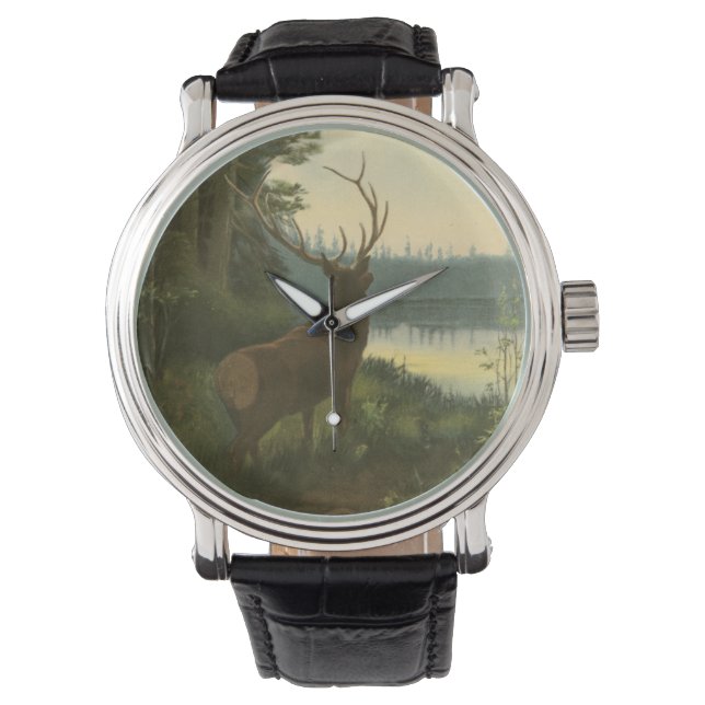 Back view of Elk Looking over a Lake Watch (Front)