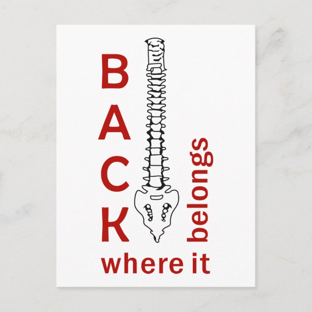 Back Where It belongs Postcard (Front)