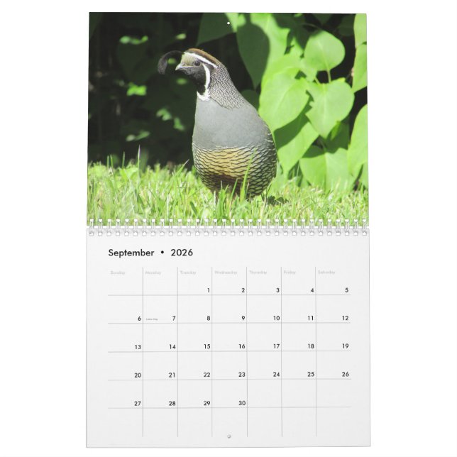 Back Yard Birds!  Bird Watcher  CALENDAR (Sep 2026)
