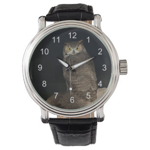 Back yard Great Horned Owl Watch