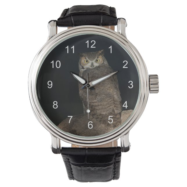 Back yard Great Horned Owl Watch (Front)