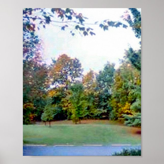 Back Yard Poster (Front)