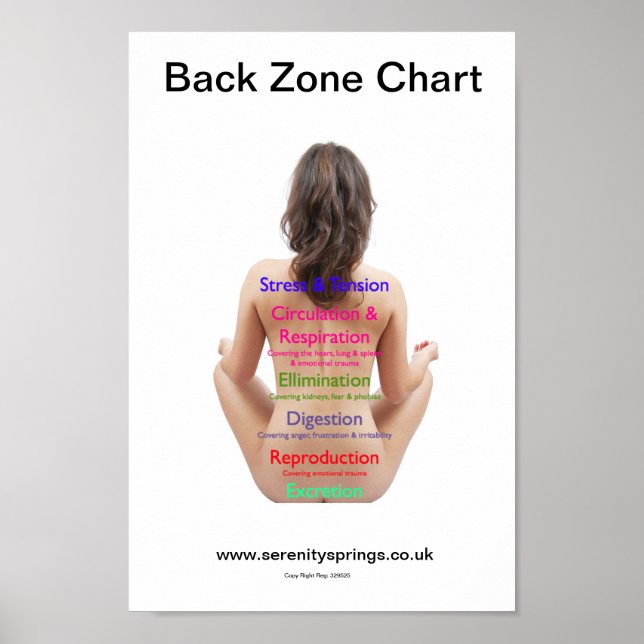 Back Zone Chart (Front)