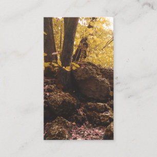 backbone state park iowa business card