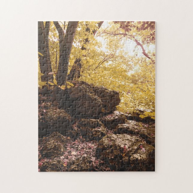 backbone state park iowa jigsaw puzzle (Vertical)