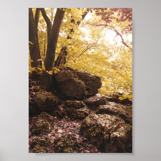 backbone state park iowa poster (Front)