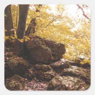backbone state park iowa square sticker