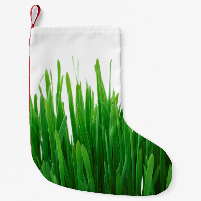 Background close up flora fresh small christmas stocking (Front)