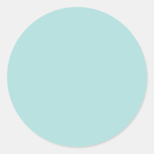 Background Colour - Robins Egg Blue Classic Round Sticker