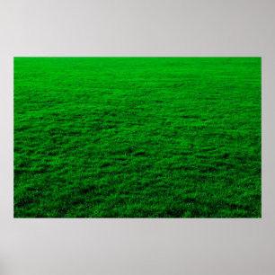 Background green grass lawn poster