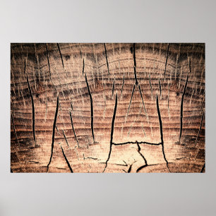 background of a wooden stumpabstract, age, aging,  poster
