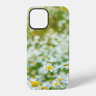 Background of flowers field of daisies. alternativ iPhone 12 case
