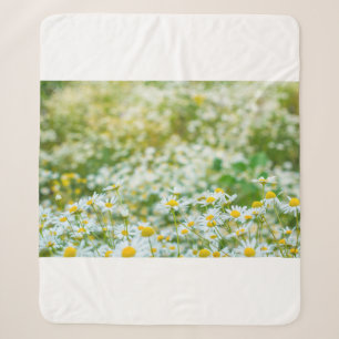 Background of flowers field of daisies. alternativ sherpa blanket