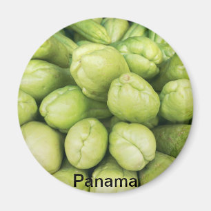 Background of organic choko Sechium edule Magnet