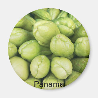 Background of organic choko Sechium edule Magnet