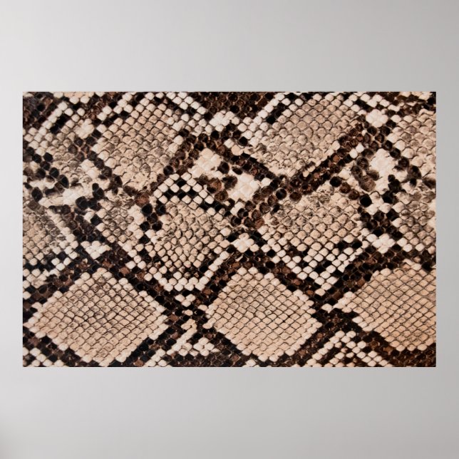 background of snake skin texture poster (Front)