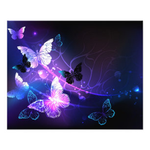Background with Night Butterflies Photo Print