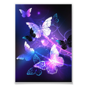Background with Night Butterflies Photo Print