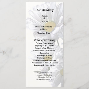 Backlit Daisies Program