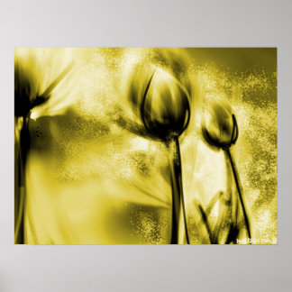 Backlit Dandelions in Antique Poster