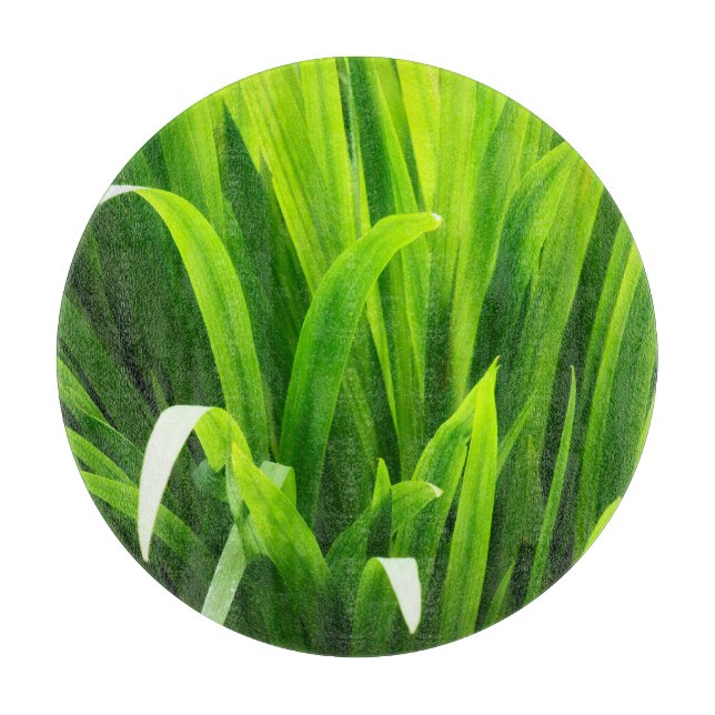 Backlit Leaves in Garden Cutting Board (Front)