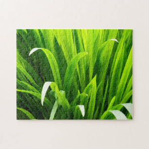 Backlit Leaves in Garden Jigsaw Puzzle