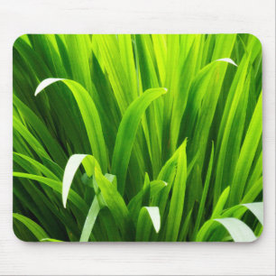 Backlit Leaves in Garden Mouse Pad