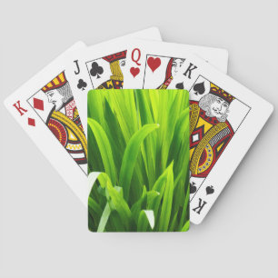 Backlit Leaves in Garden Playing Cards