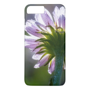 Backlit Purple Wildflower With Dewdrops iPhone 8 Plus/7 Plus Case