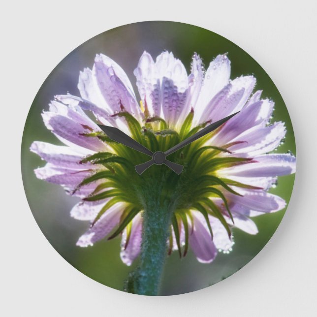 Backlit Purple Wildflower With Dewdrops Large Clock (Front)