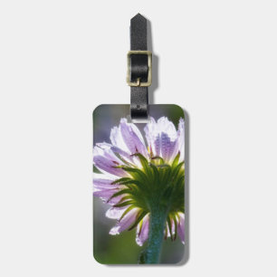 Backlit Purple Wildflower With Dewdrops Luggage Tag
