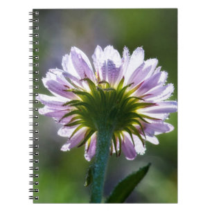 Backlit Purple Wildflower With Dewdrops Notebook