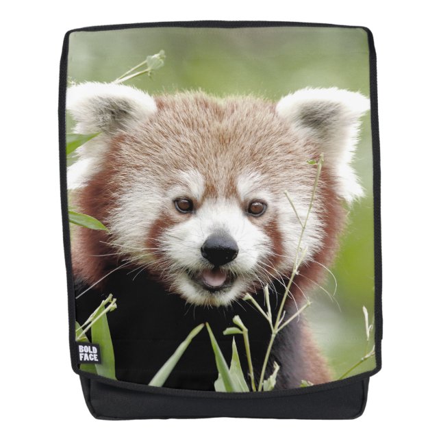 Backpack. Photo red panda. Backpack (Front)