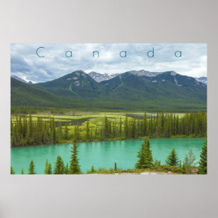 Backswamp at Banff Poster