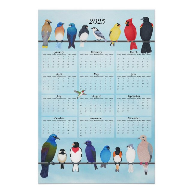backyard birds 2025 wall calendar poster (Front)