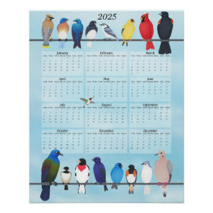 backyard birds 2025 wall calendar poster