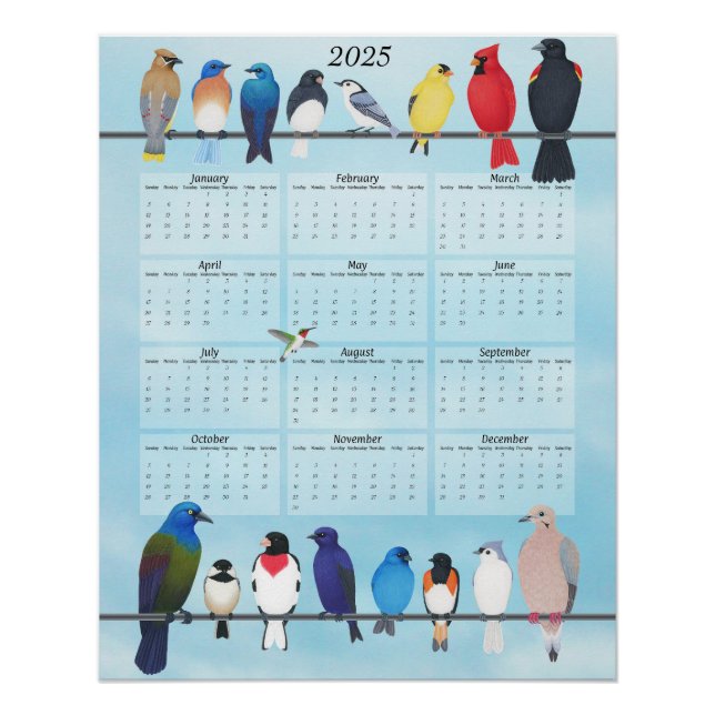 backyard birds 2025 wall calendar poster (Front)
