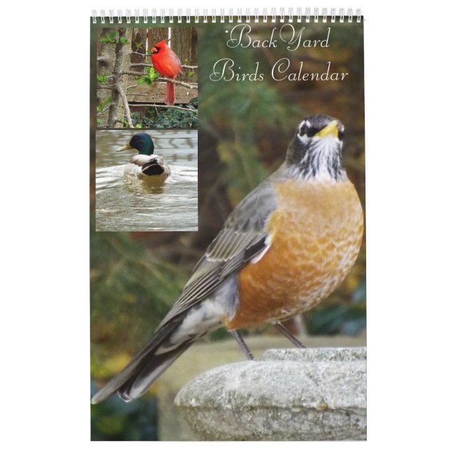 BackYard birds calendar (Cover)