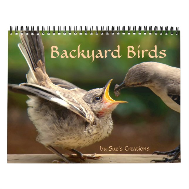Backyard Birds Calendar (Cover)