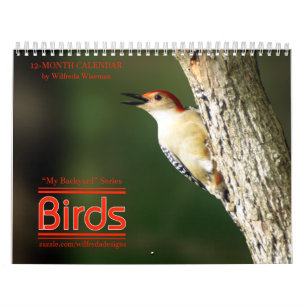 Backyard Birds Calendar 2nd in Series